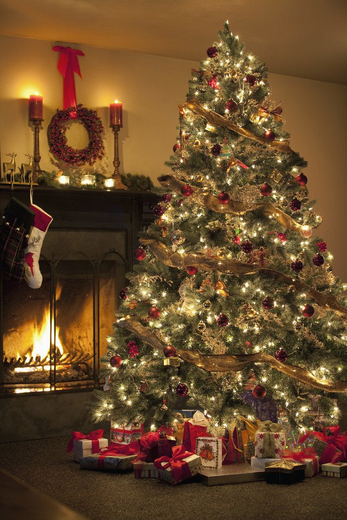 Detail of Christmas tree by Anonymous
