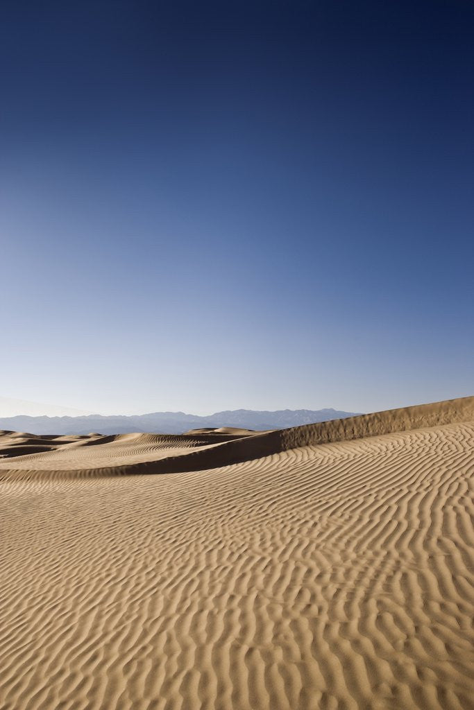 Detail of American desert scenery by Anonymous