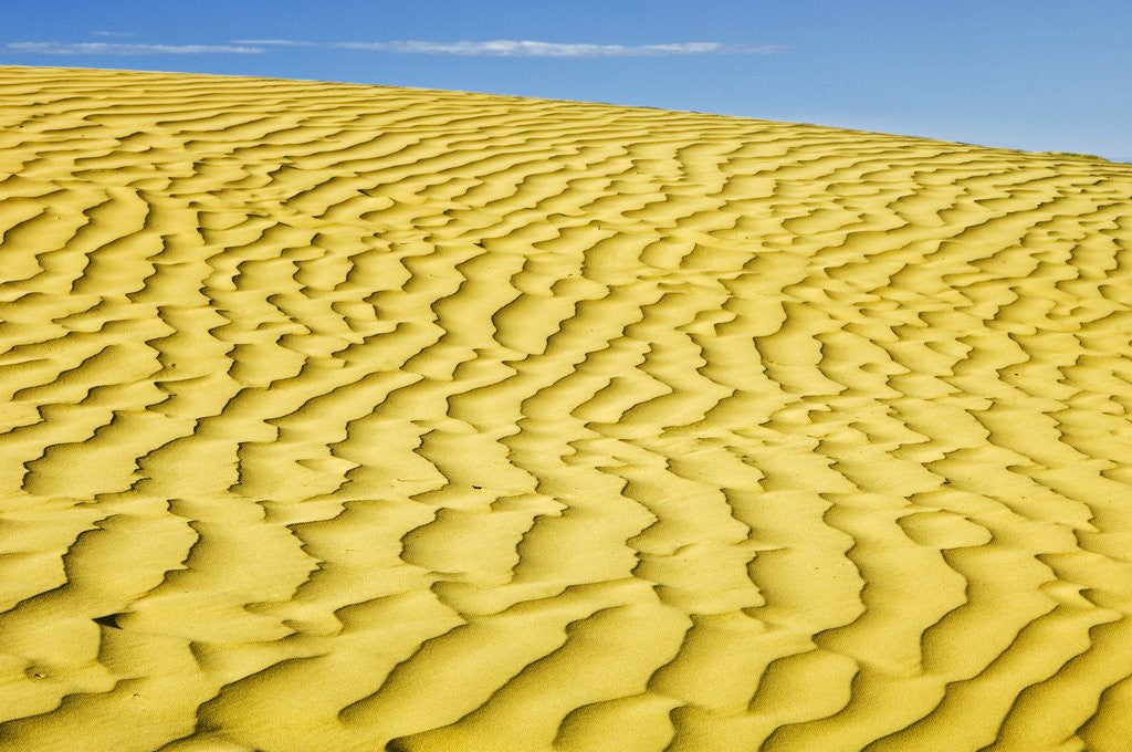 Detail of Pattern in sand dunes by Anonymous