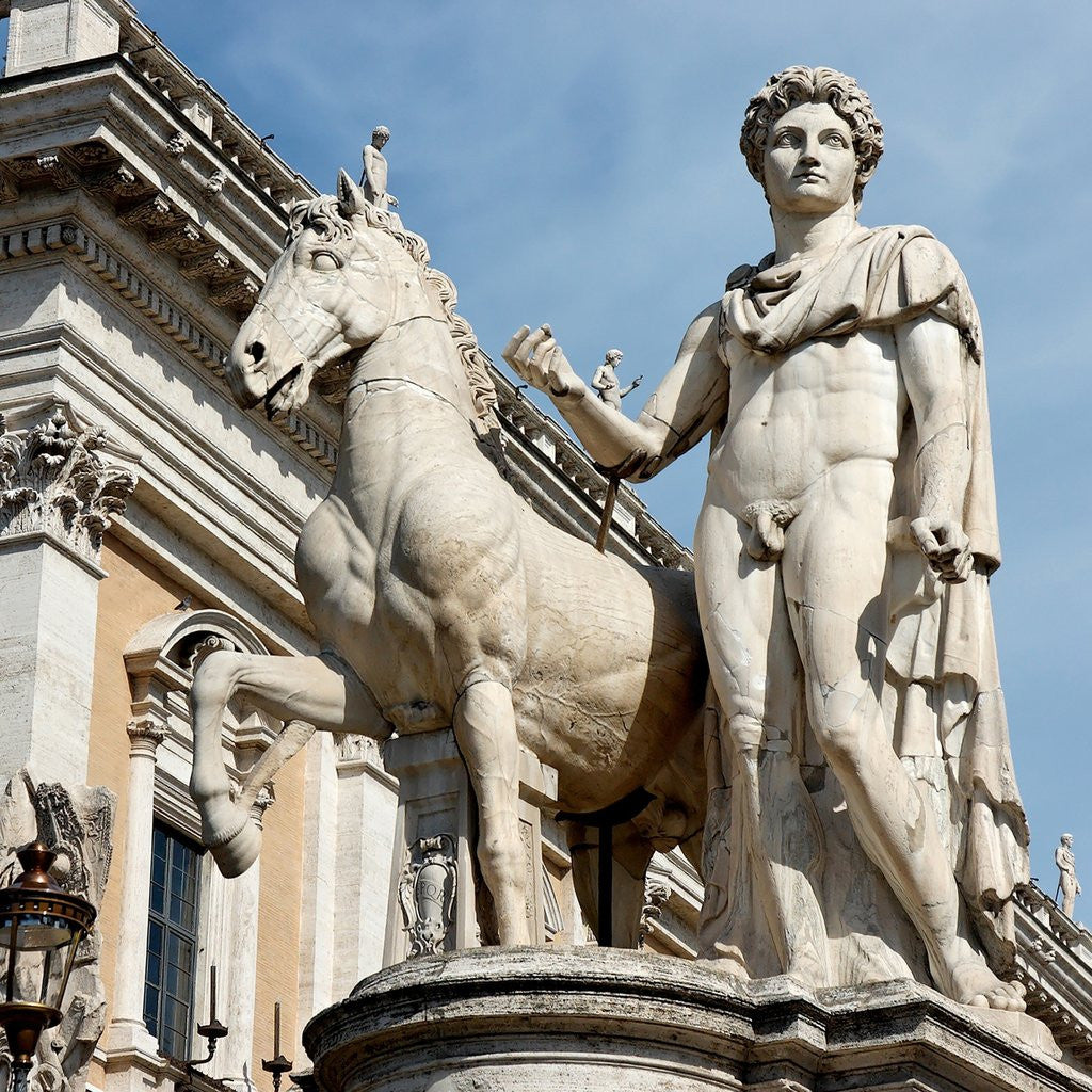 Detail of Statue of Castor at Piazza del Campidoglio by Anonymous