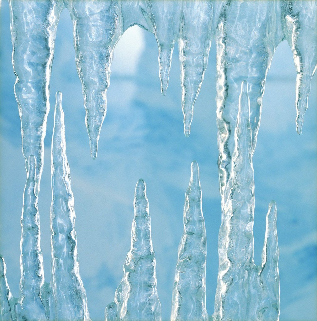 Detail of Icicles by Anonymous