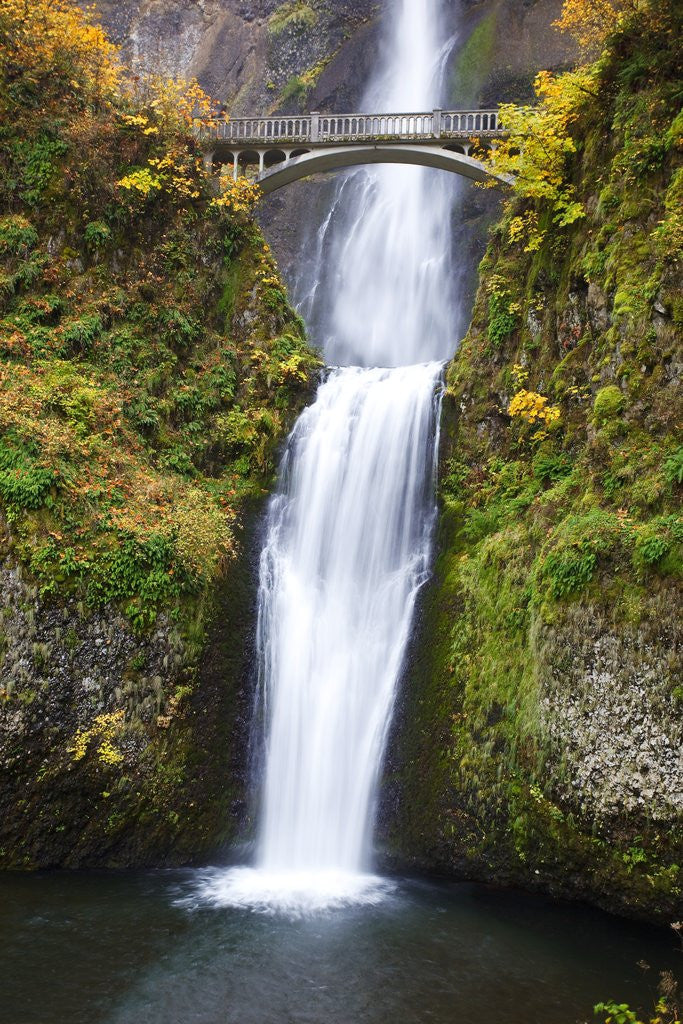 Detail of Lower half of Multnomah Falls by Anonymous