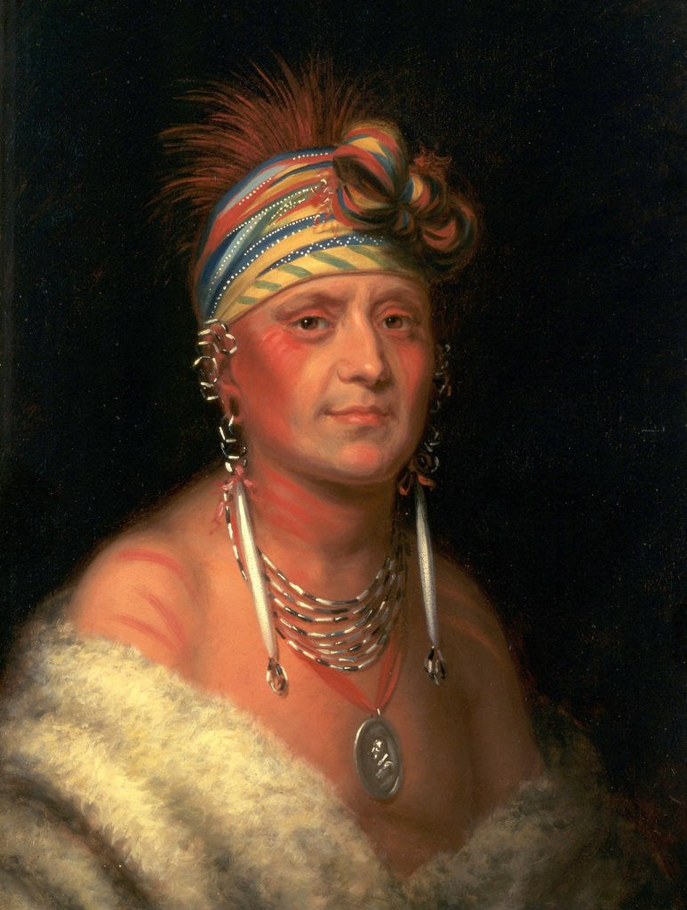 Detail of Monchousia (White Plume) by Charles Bird King
