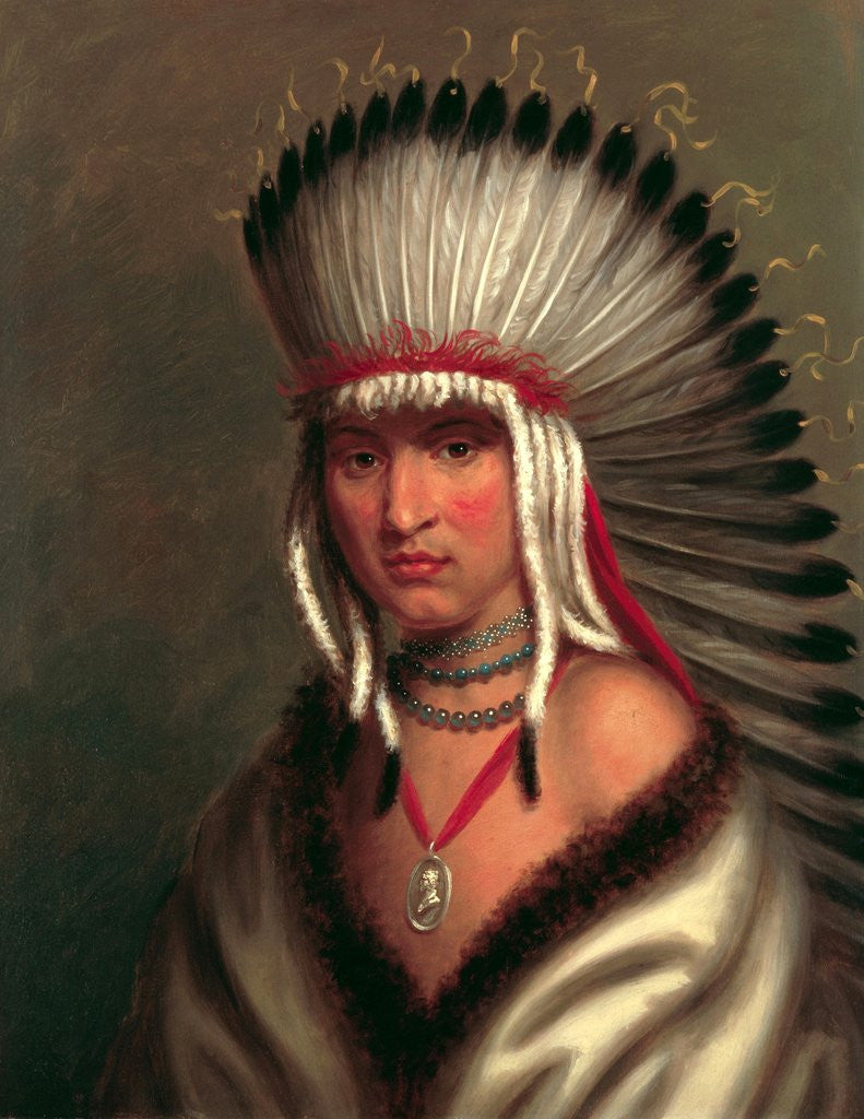 Detail of Petalesharo (Generous Chief) by Charles Bird King