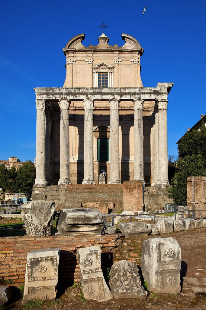 Detail of Temple of Antoninus and Faustina by Anonymous