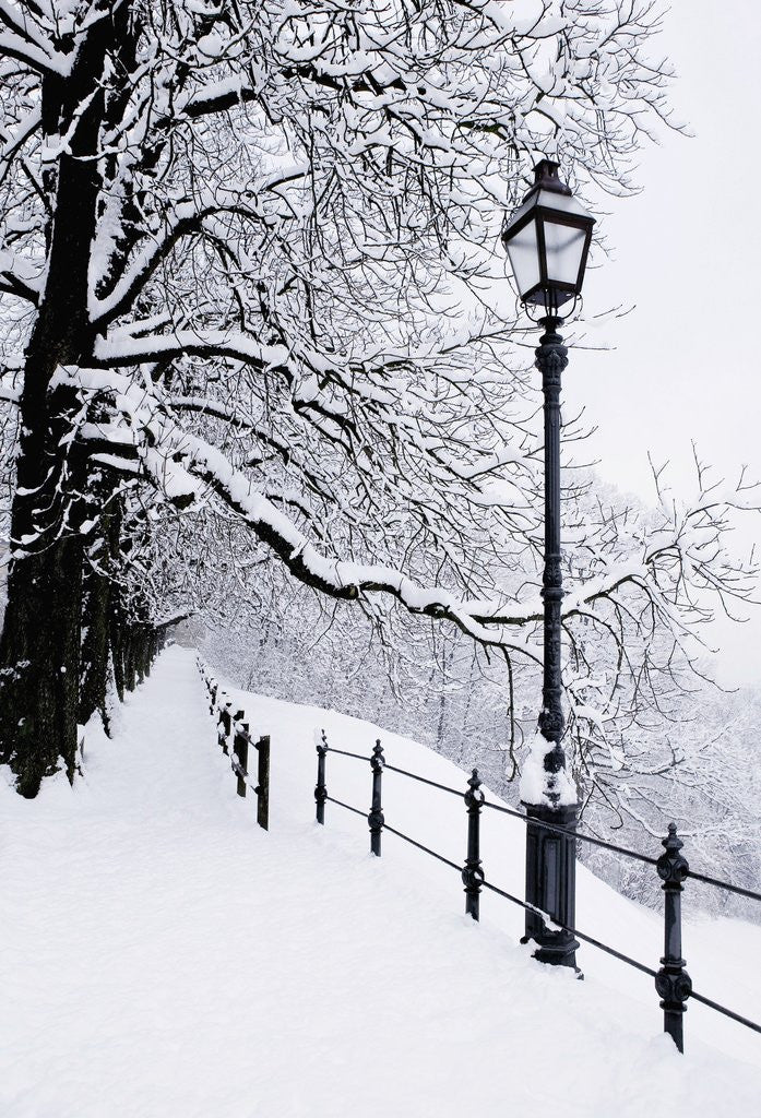 Detail of Trees and lamp post in snow by Corbis