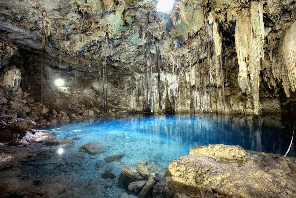 Detail of Cenote X-Keken in Dzitnup at Valladolid by Anonymous