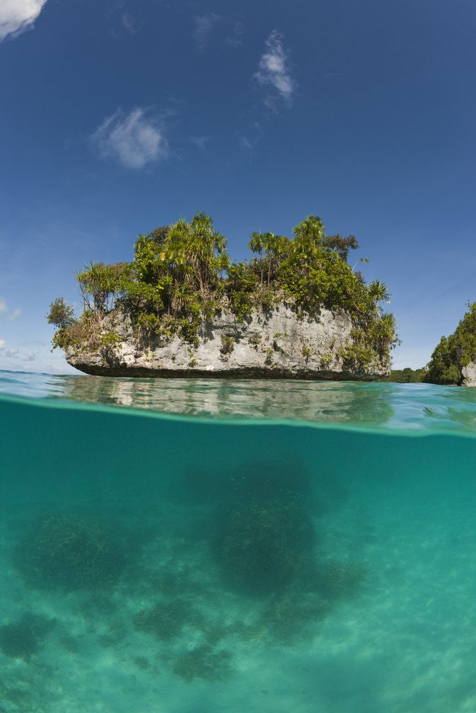 Detail of Small island off Palau, Micronesia by Anonymous