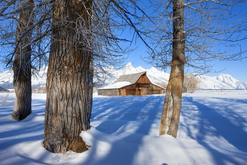 Detail of Barn below Teton Range in winter by Anonymous