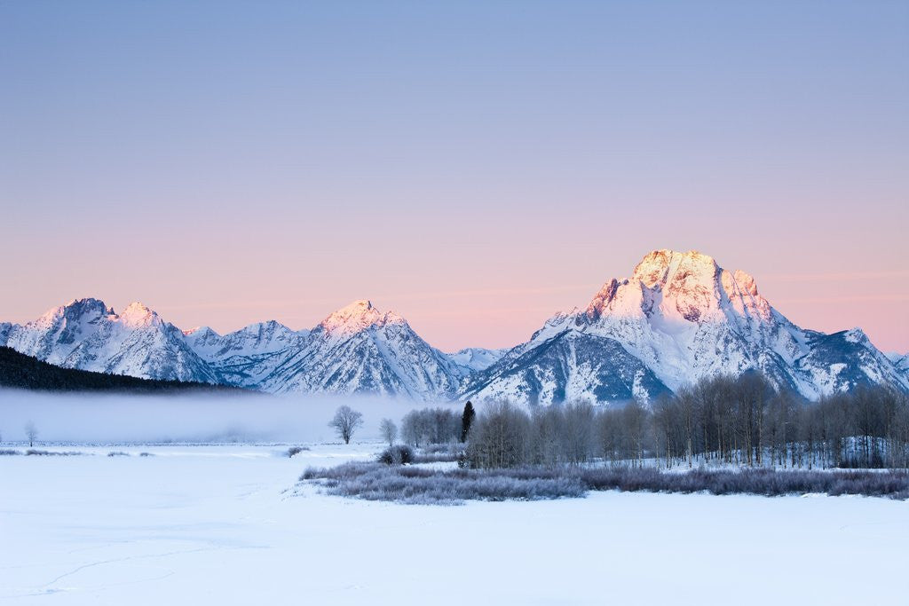 Detail of Oxbow Bend in Grand Teton National Park in winter by Anonymous