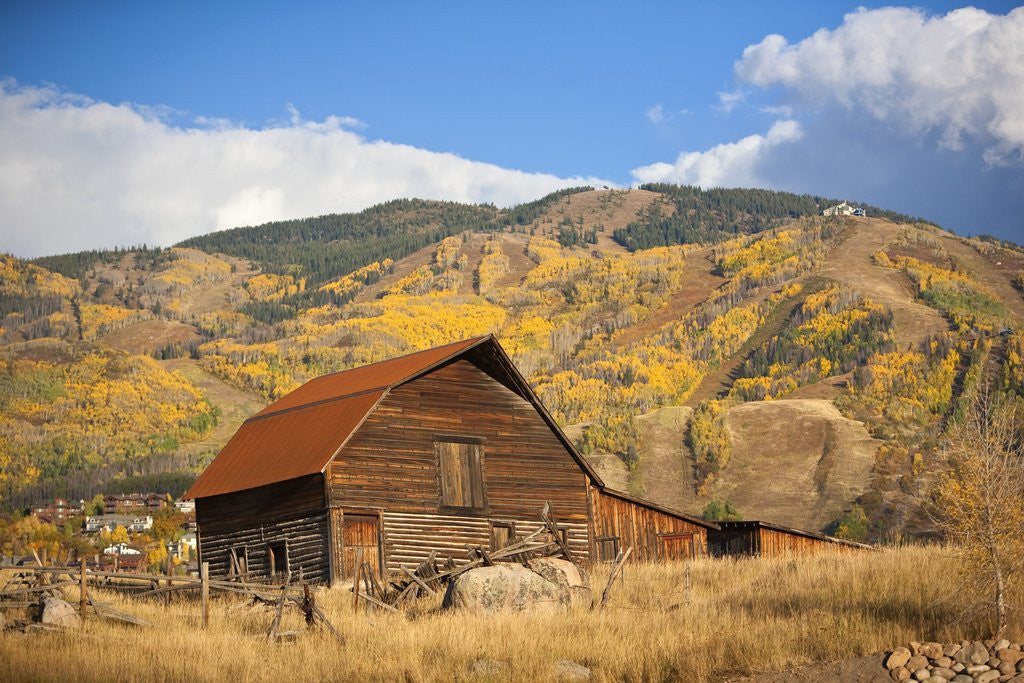 Detail of The famous Steamboat Barn, Steamboat Springs Ski Area in the background with yellow aspen trees, Colorado by Anonymous