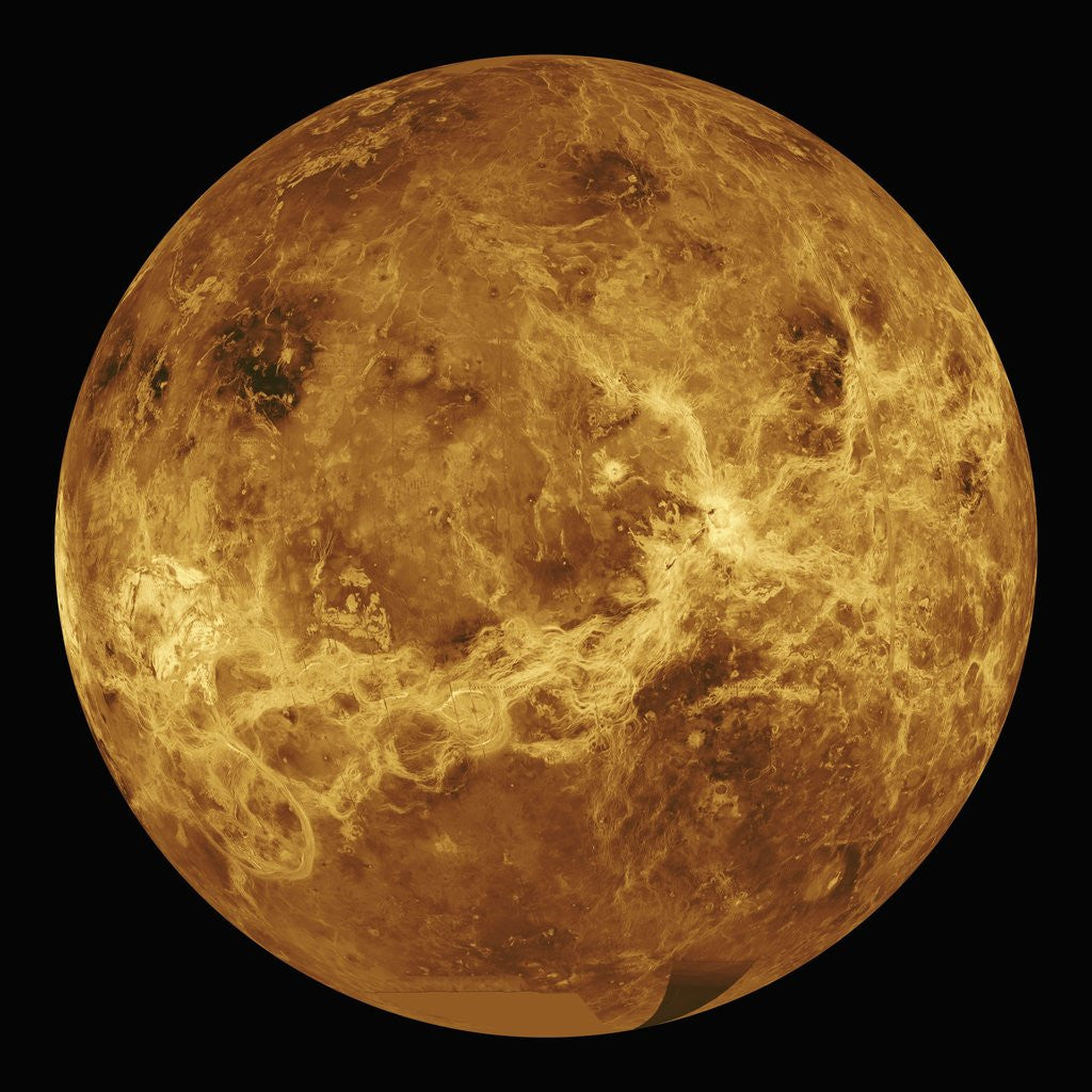 Detail of Venus by Anonymous