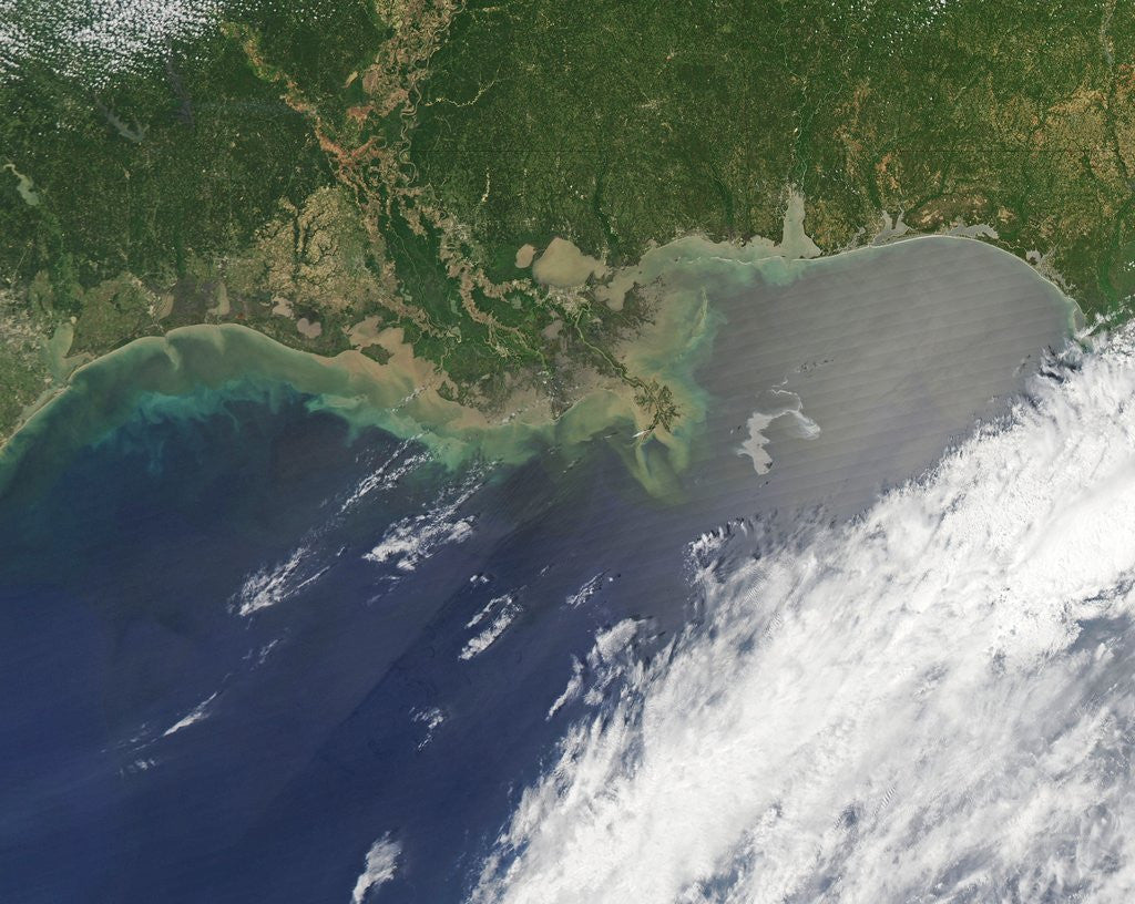 Detail of Oil spill from damaged well in Gulf of Mexico by Anonymous