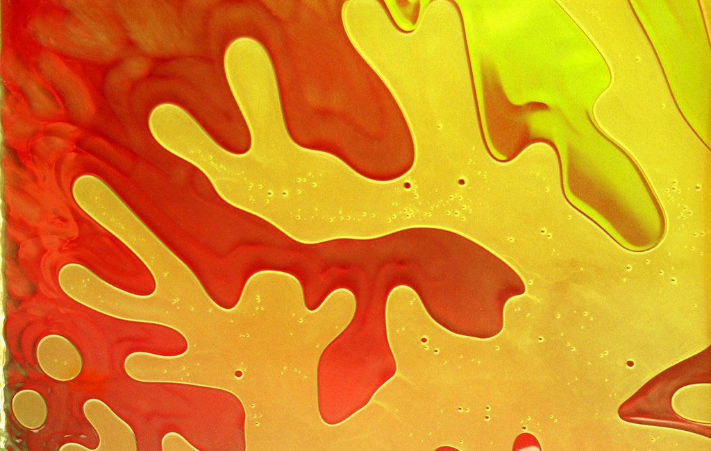 Detail of Shampoo taking on a coral-like form by Anonymous