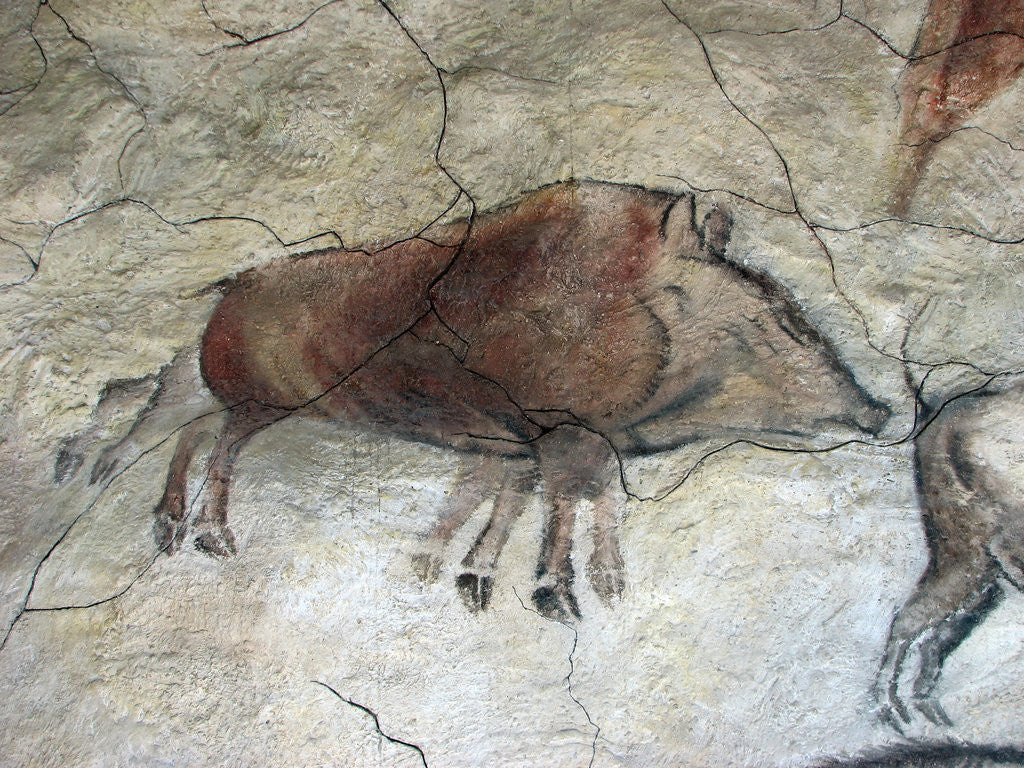 Detail of Replica of cave painting of boar from Altamira cave by Anonymous