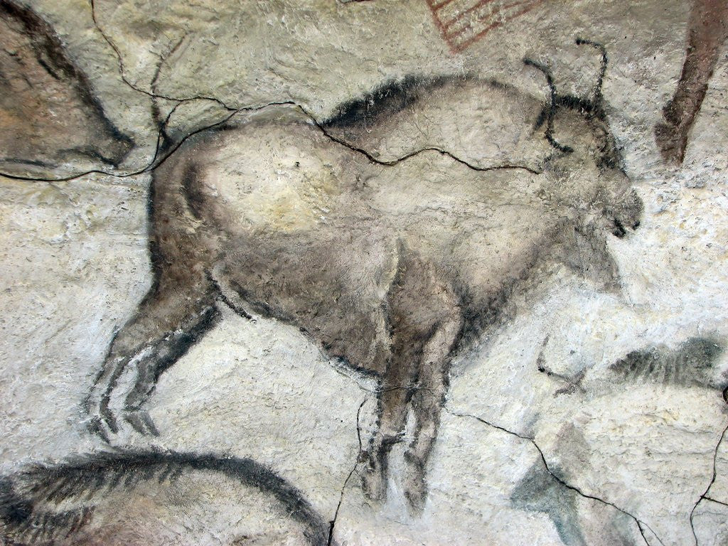 Detail of Replica of cave painting of bison from Altamira cave by Corbis