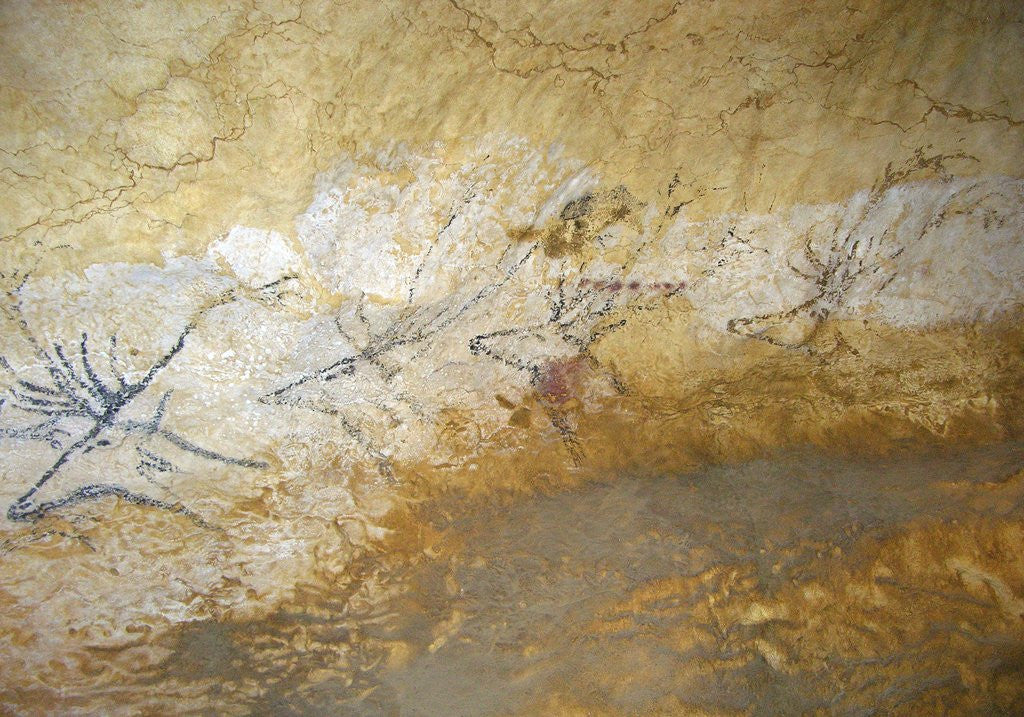 Detail of Cave painting of swimming stags at Lascaux by Anonymous