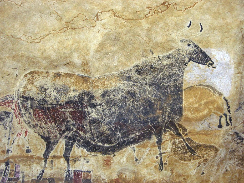 Detail of Black cow cave painting at Lascaux by Anonymous