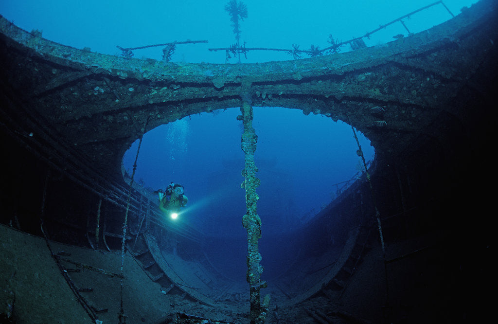 Detail of Scuba diver exploring a shipwreck, Papua New Guinea, Coral Sea. by Anonymous