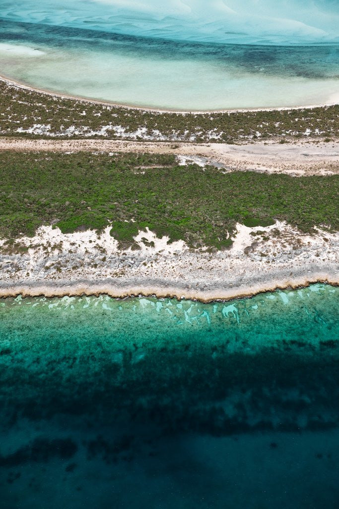 Detail of Aerial view of Exuma cays, Bahamas by Anonymous