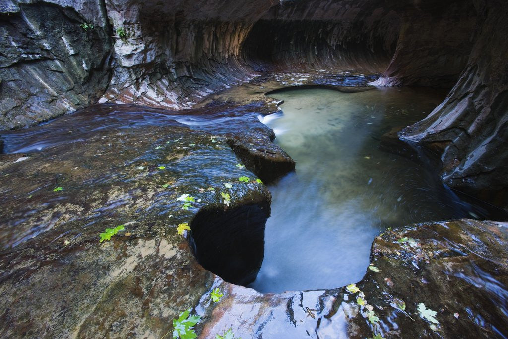 Detail of The Subway slot canyon by Anonymous