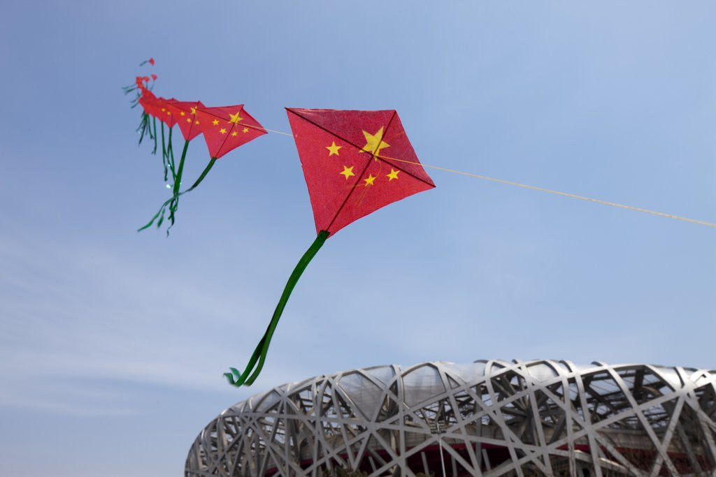 Detail of Kites flying by the Beijing National Stadium by Anonymous