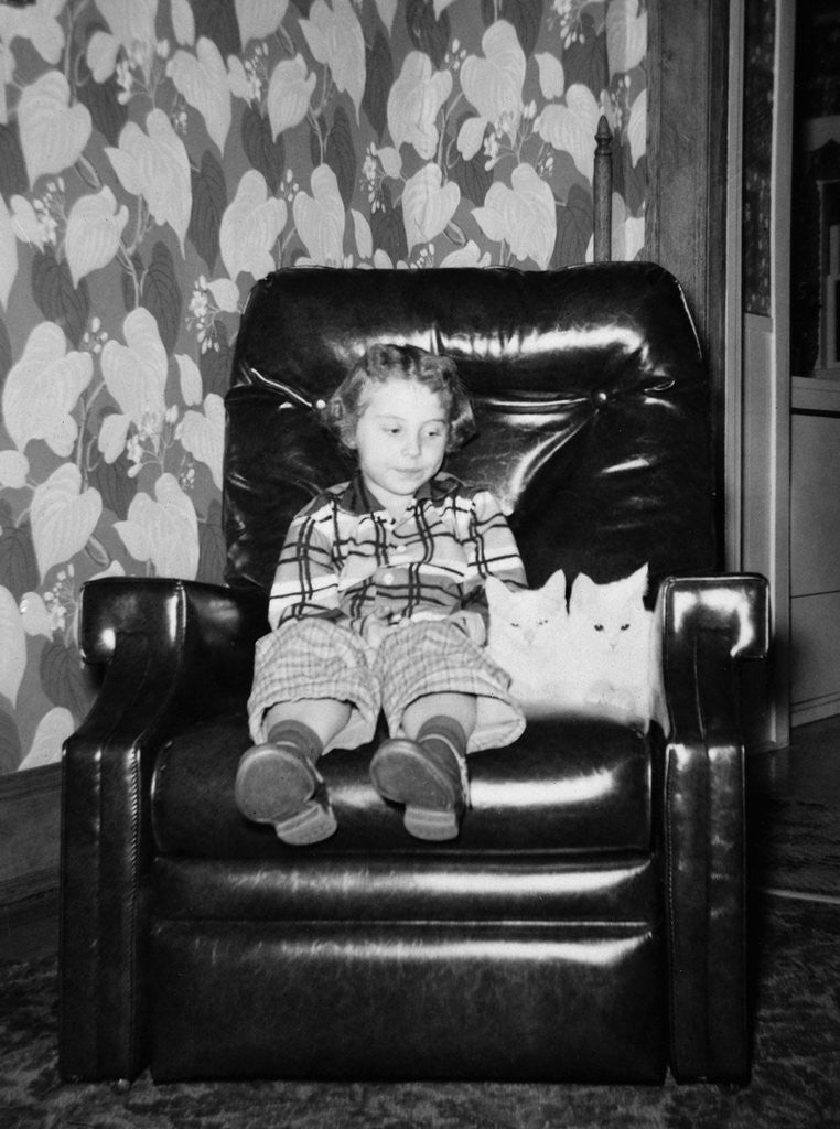 Detail of Young girl sits with her two cats in a leather chair, ca. 1960 by Corbis