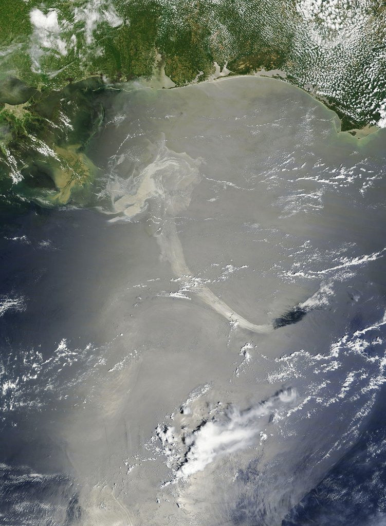 Detail of Oil slick in the Gulf of Mexico by Anonymous
