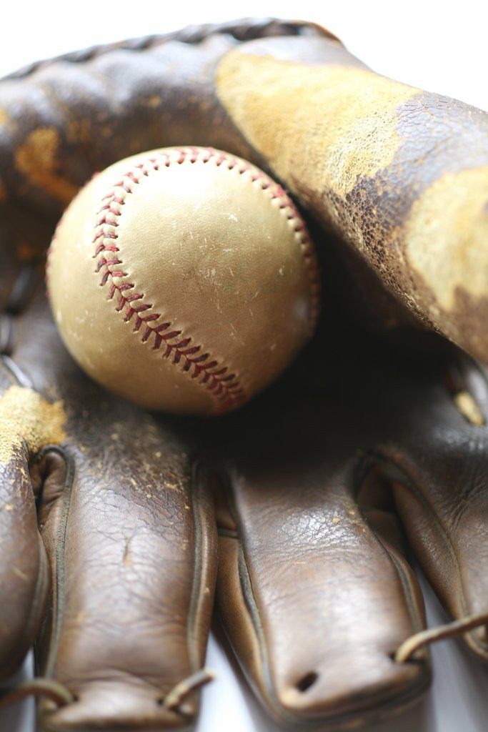 Detail of Baseball in glove by Corbis