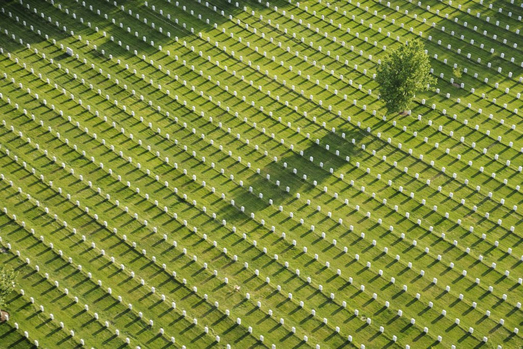 Detail of Arlington National Cemetery by Anonymous