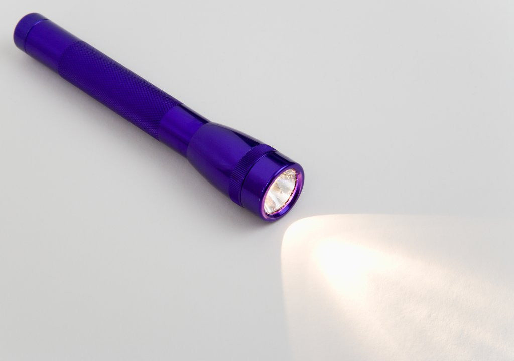 Detail of Flashlight by Anonymous