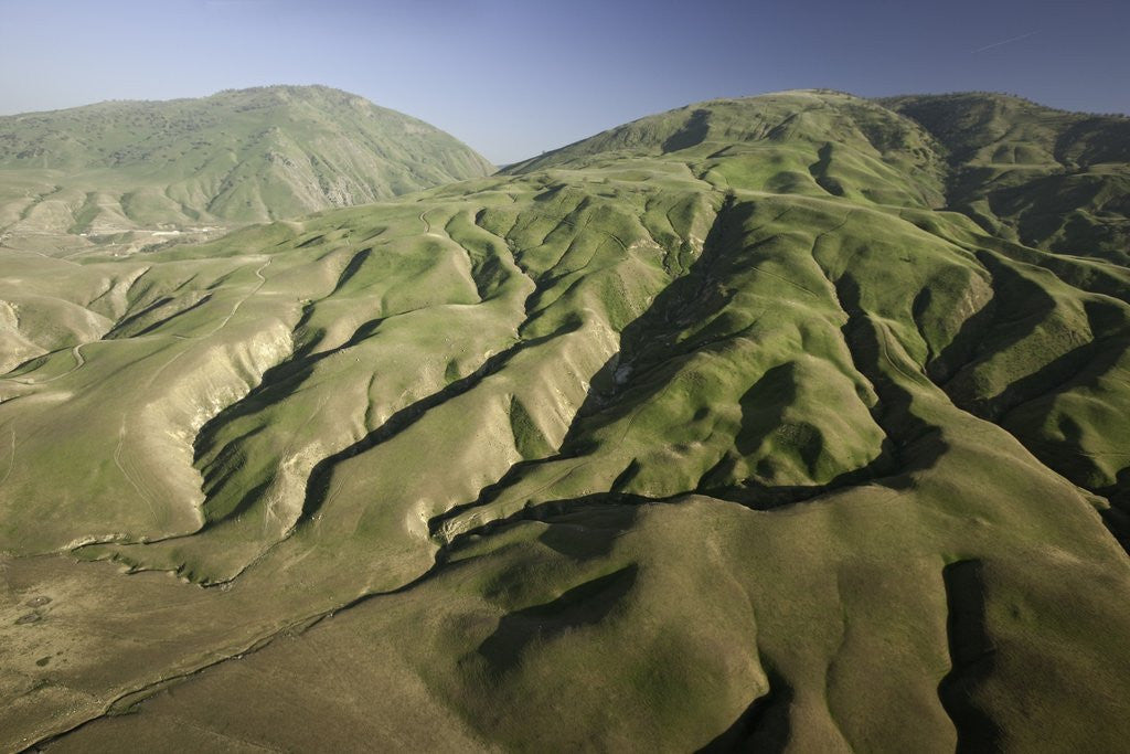 Detail of Tejon Ranch in California by Anonymous