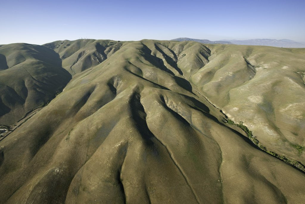 Detail of Tejon Ranch in California by Anonymous