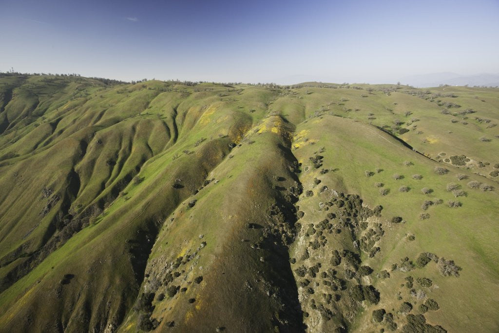 Detail of Tejon Ranch in California by Anonymous
