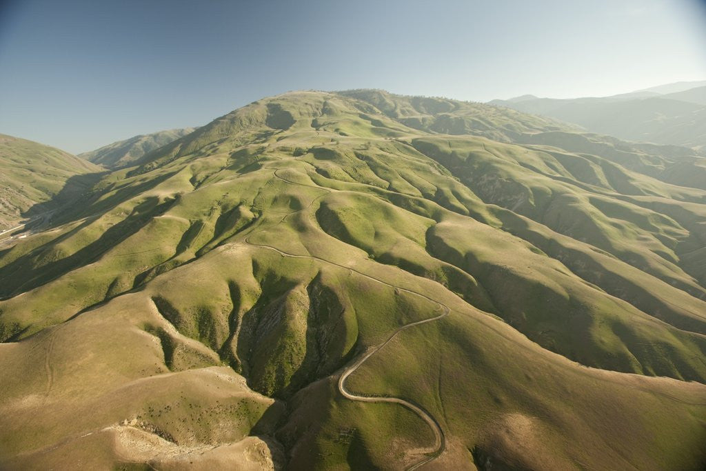 Detail of Tejon Ranch in California by Anonymous