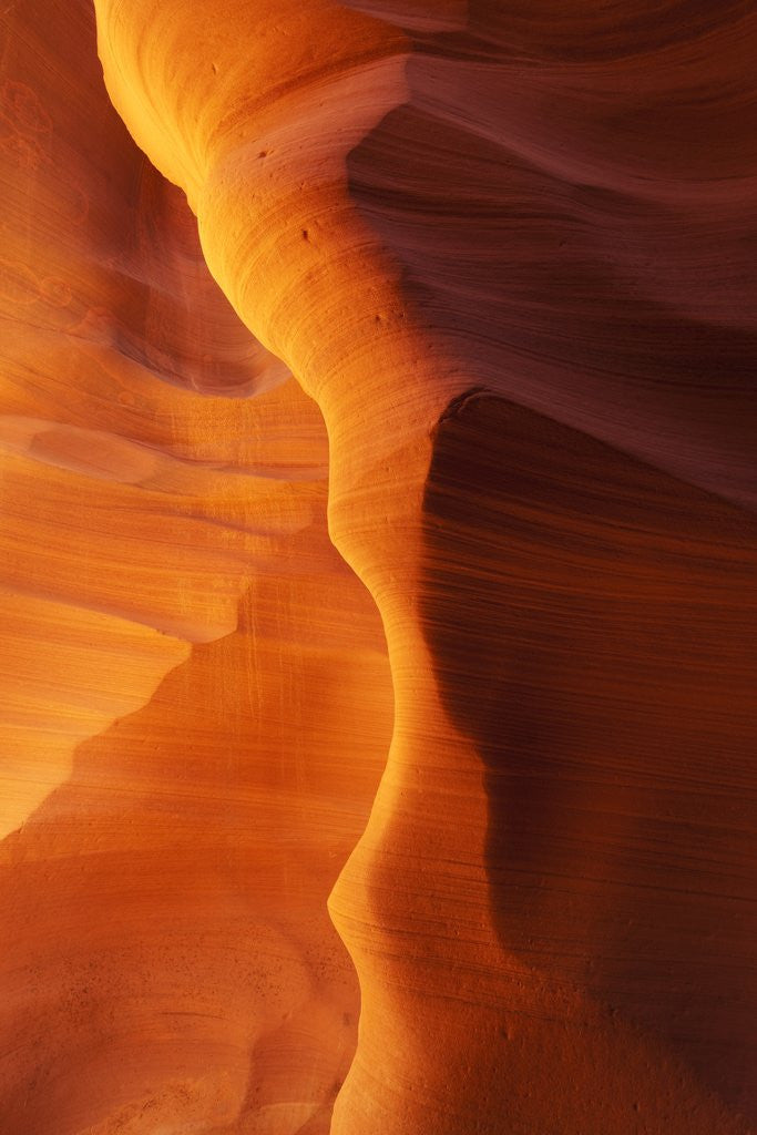 Detail of Antelope Canyon, Page, Arizona by Anonymous