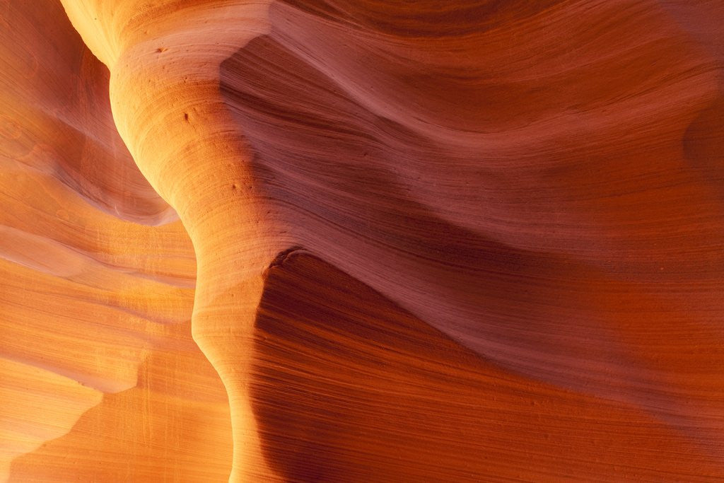 Detail of Antelope Canyon, Page, Arizona by Anonymous