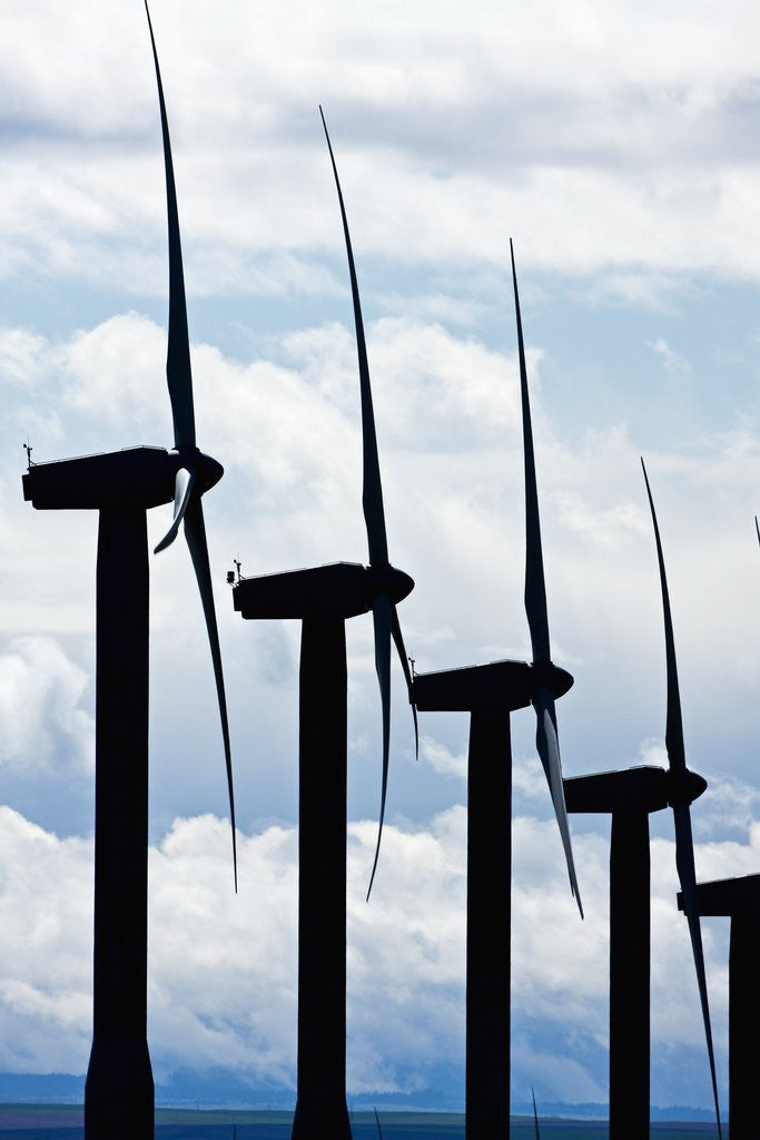 Detail of Windmills, Wallula, Washington by Anonymous