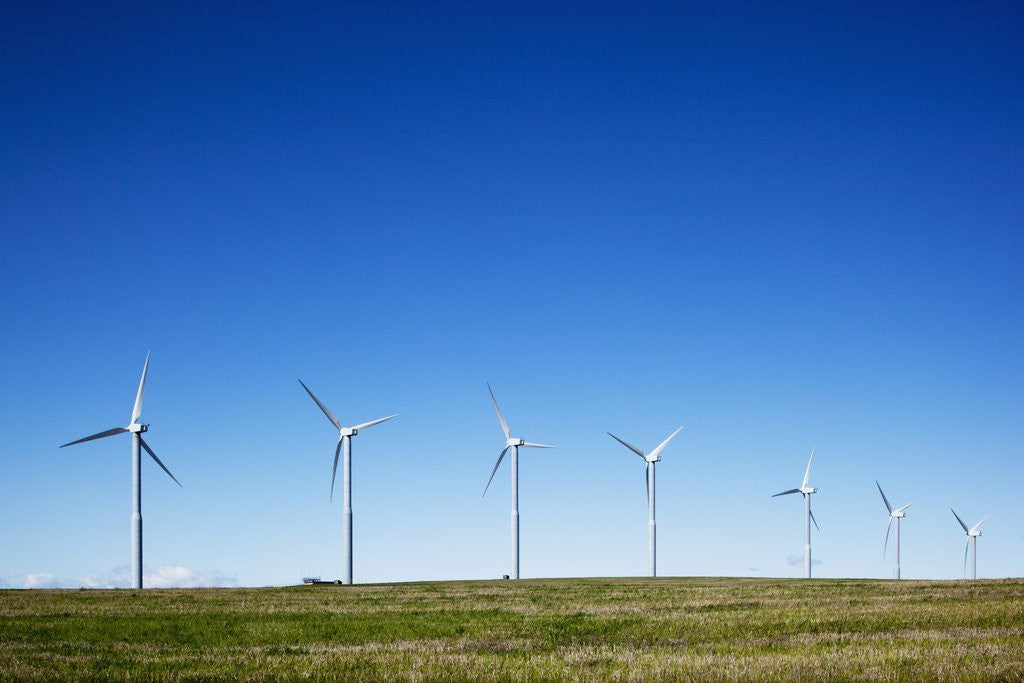 Detail of Windmills, Wallula, Washington by Anonymous