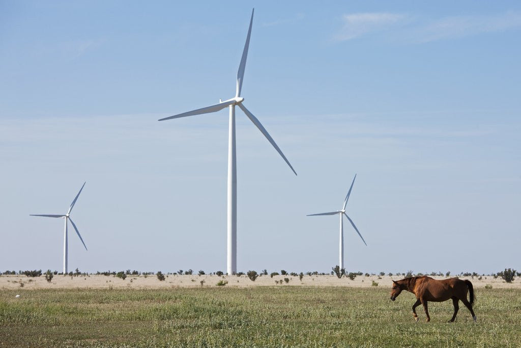 Detail of Wind Farm, Vega, Texas by Anonymous