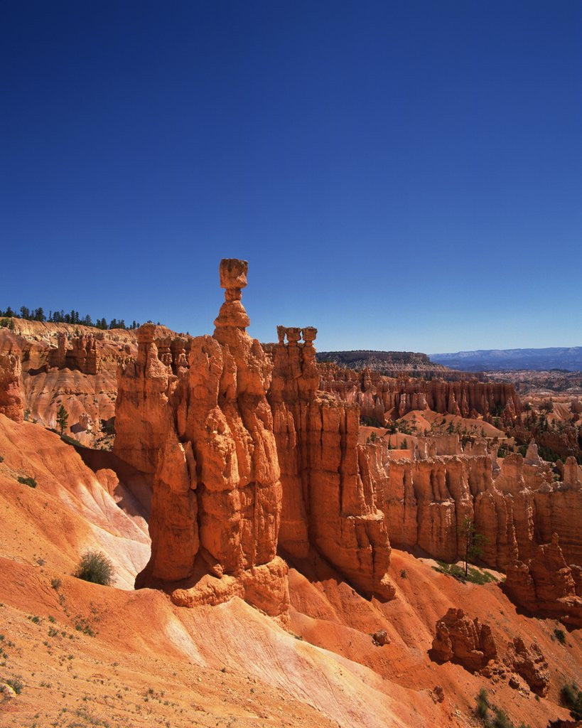 Detail of Bryce Canyon National Park by Anonymous