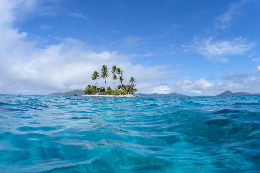 Detail of Tropical island, Micronesia by Anonymous