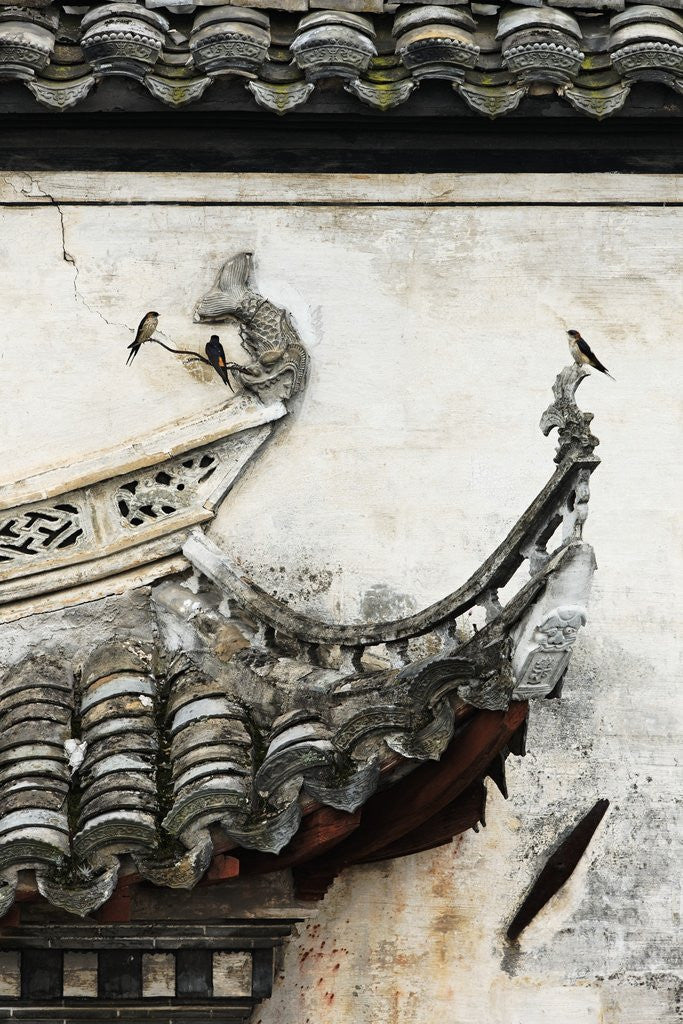 Detail of Tiled roof in Xidi, China by Anonymous
