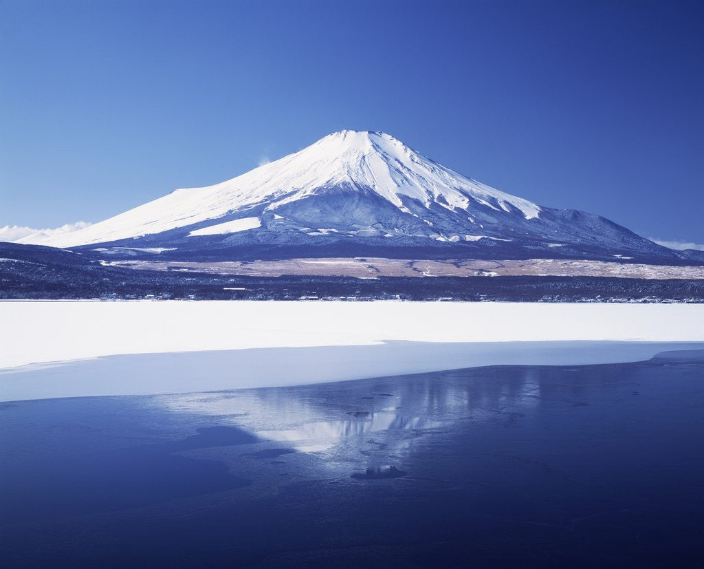 Fuji@Yamaページ Mount Fuji with Cherry Trees in Bloom