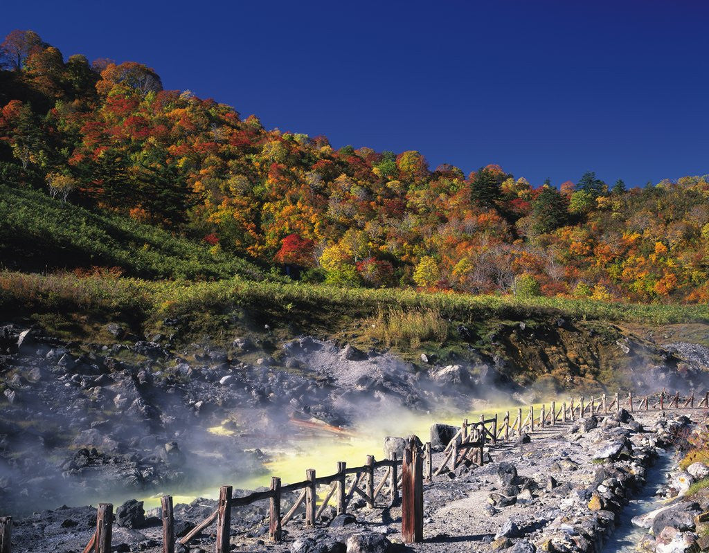 Detail of Tamagawa hot springs, Kazuno, Akita Prefecture, Japan by Anonymous