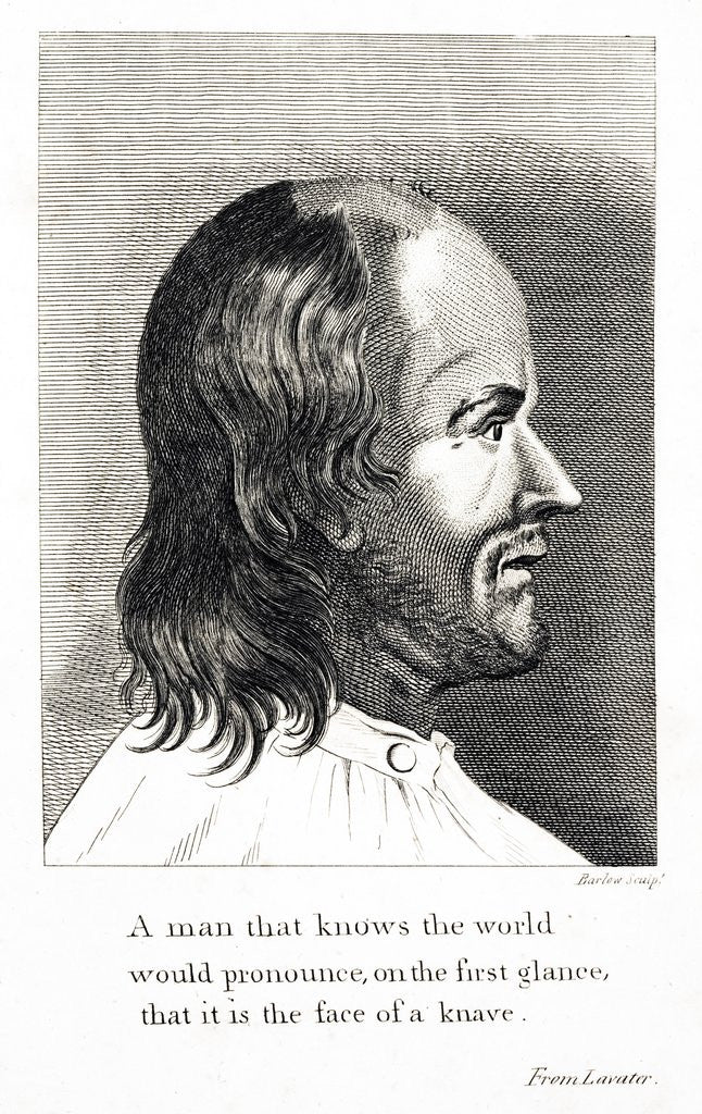 Detail of Engraving in a physiognomy book by Anonymous