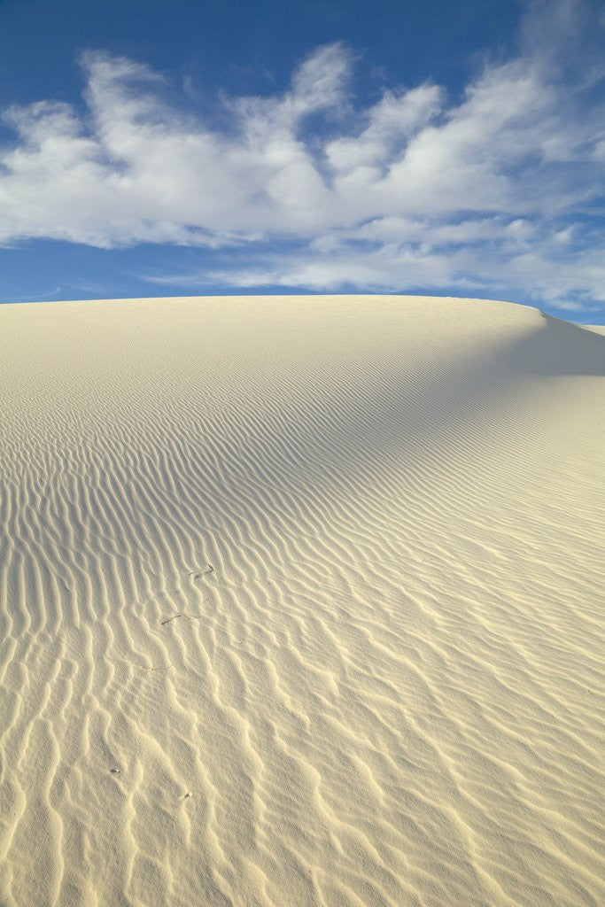 Detail of Dune in White Sands National Monument by Anonymous