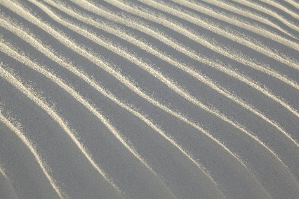 Detail of Sand in White Sands National Monument by Anonymous