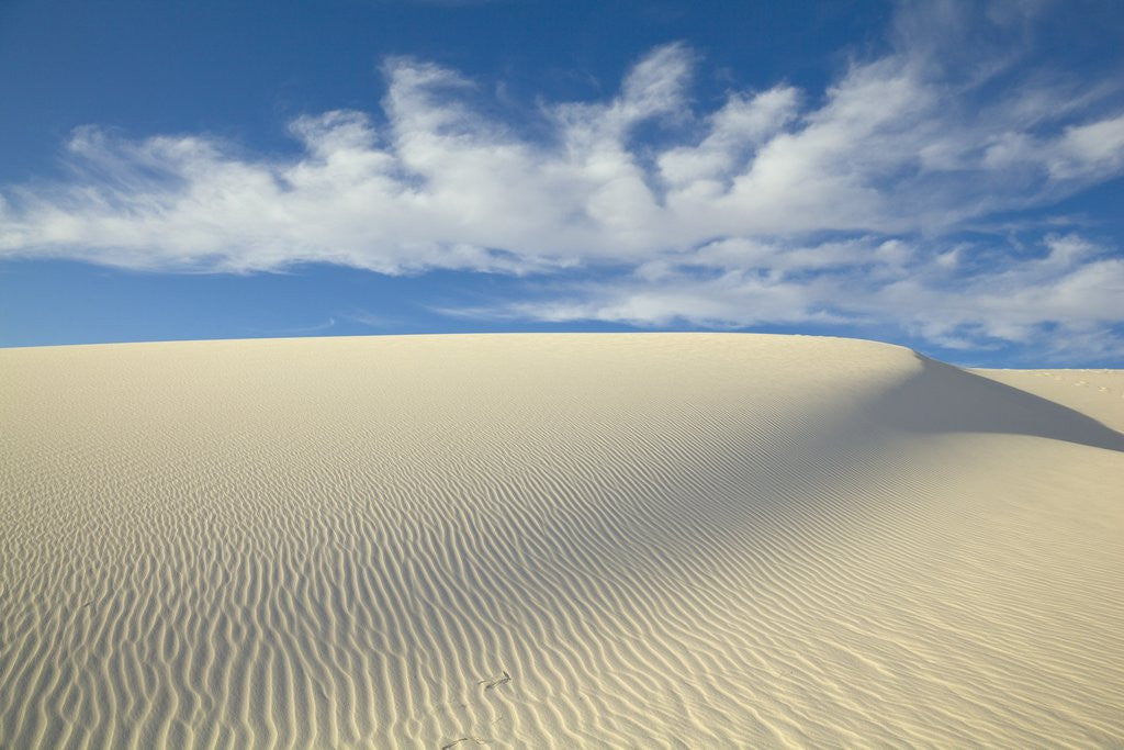 Detail of Dune in White Sands National Monument by Anonymous