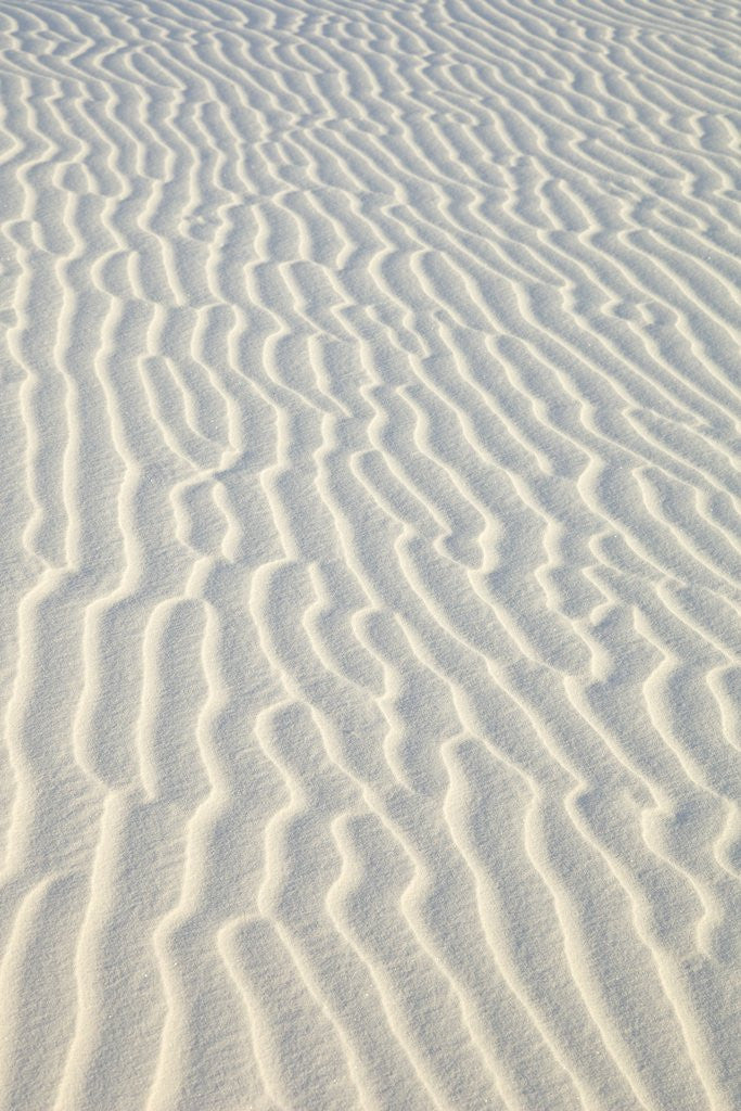 Detail of Sand in White Sands National Monument by Anonymous